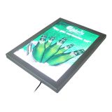 Caja de Luz Delgada Esquinas Redonda LED (Con Impresion) A4 (11.7" x 8.3")Caja de Luz Delgada Esquinas Redonda LED (Con Impresion) A4 (11.7" x 8.3")