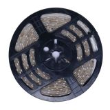 16.4FT  Non-Waterproof  Flexible LED Strip side light Type 5M SMD 600 LEDS White 12VDC