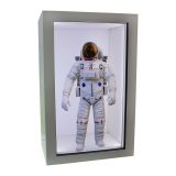 CALCA 43-inch Smart Holographic Cabin Display Transparent LCD Display with Touch