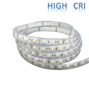 Alto CRI Super brillo luz blanca IP66 Contra agua de 5M tira de luz 300 LED - 2835 SMD cadena cinta rollo 12VDC