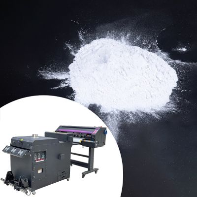 Polvo Adhesivo para Transferencia por Calor 5kgs/parcel